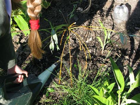 fairy lavender willow den time to craft