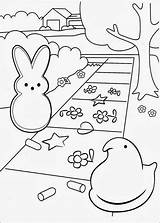 Peeps Marshmallow Colorear Marshmallows Patinho Coelhinho Desenhando Desenho Coloriages Plantillas Soltando Pipa Coloriez Desenhospracolorir sketch template