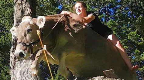 this girl rides a cow like it s no big deal explore awesome