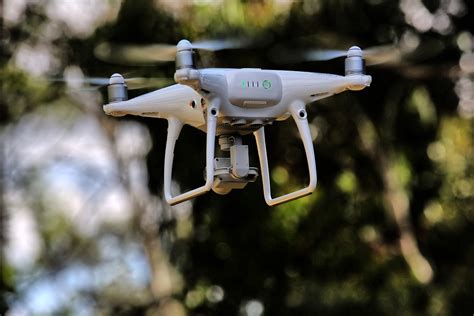ces drones plantent   arbres par jour pour sauver les mangroves