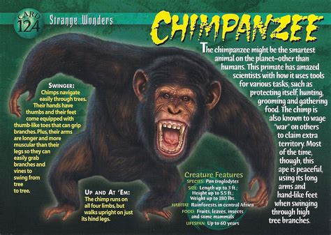 chimpanzee wierd nwild creatures wiki fandom powered  wikia