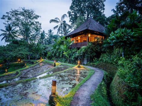 eco resorts  bali    immerse   nature