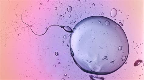 hiv positive sperm bank launched in new zealand world