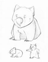 Wombat Drawing Getdrawings Kata sketch template