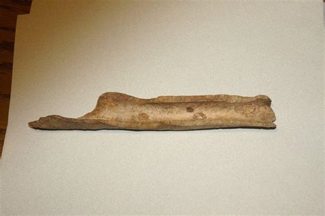 bone tool arrowheadscom