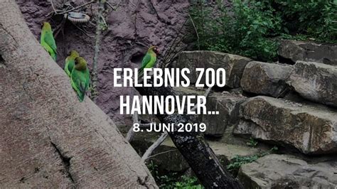 zoo hannover youtube