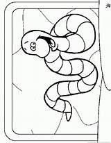 Worm Coloring sketch template