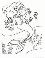 Mermaid Horses Pages Coloring Sea Little Xcolorings 850px 97k 1100px Resolution Info Type  Size Jpeg Printable sketch template