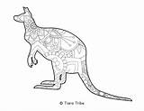 Kangaroo Tiaratribe sketch template