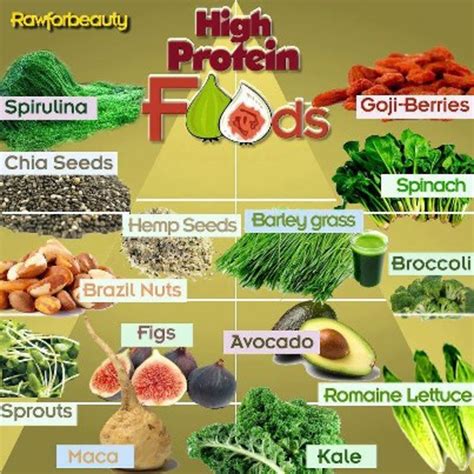 vegetable protein sources hubpages