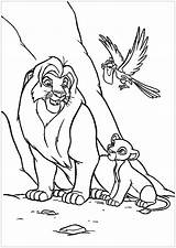 Coloriage Simba Mufasa Zazu Nala Coloriages Scar Leone Kiara Enfant Gratis Classique Dessins sketch template