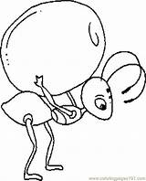 Ant Coloring Pages Cartoon Kids Printable Drawing Ants Picnic Color Cliparts Clipart Others Print Colonies Getdrawings Coloringpages101 Easy Baby Clipartmag sketch template