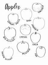 Apples Chart Coloring Shop sketch template