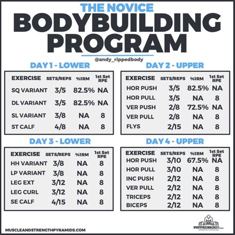 beginner bodybuilding program spreadsheet  ripped body  day
