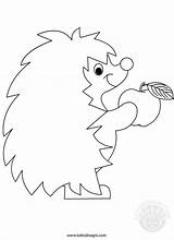 Riccio Hedgehog Tuttodisegni Autunno Ricci Drachen Fensterbild Animali Autunnali Pintar Fensterbilder Artigianato Mela sketch template