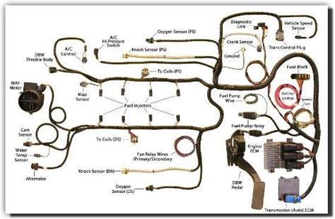 southern performance systems gen iv wire harness kits ls  le transmission wiring ls