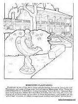 Coloring Pages Plantation Template sketch template