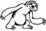 Perezoso Sloth Oso Perezosos Osos Animales Sloths Diviértete Eligiendo sketch template
