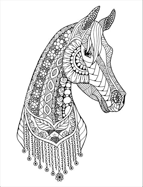 unicorns  horses special art books