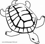 Turtle Coloring Pages Turtles Animal Color Kids Sheets Printable Print Sea Found Choose Board Lesson Plan sketch template