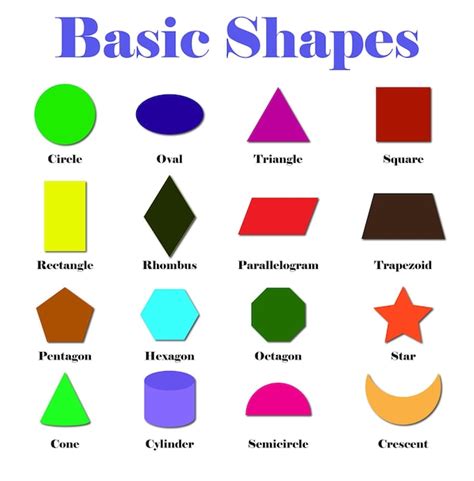 premium vector basic shapes
