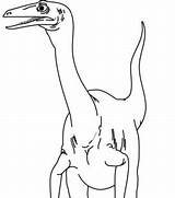 Coelurus Dinosaurs Coloring Pages Genus Coelophysis Coloringpagesonly Dinosau Dinosaur Ads Google Bubakids sketch template
