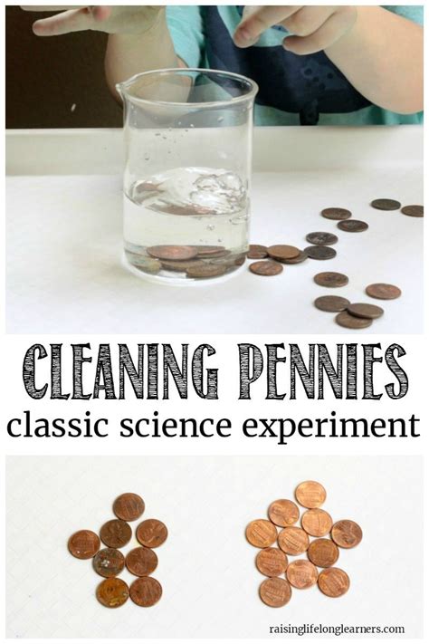 cleaning pennies science experiment  kids