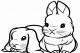 Bunny Coloring Cute Pages Real Rabbit Color Print Kids Baby Cat Animals Some Popular Coloringtop sketch template