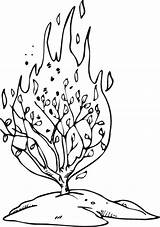 Bush Burning Coloring Craft Pages Tattoo Clipart Clip Egypt Tattoos Cartoon Template Graphicsfactory sketch template
