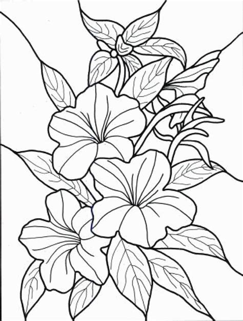 cool flower coloring pages  adults coloring home