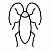 Baratas Cucarachas Barata sketch template