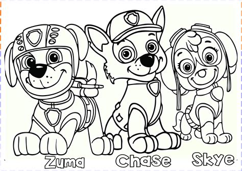 paw patrol coloring pages  kids coloring page