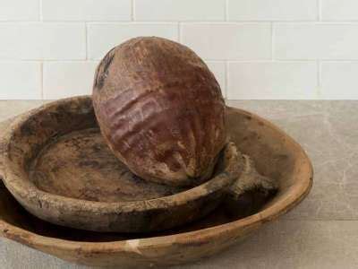 wooden bowl   seashells