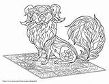 Tibetan Spaniel Ornamented Adult sketch template