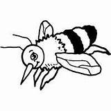Bee Honey Coloring Surfnetkids sketch template