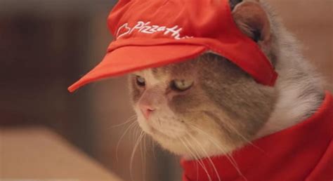 In Japan A Pizza Hut Store That Is Run By Cats