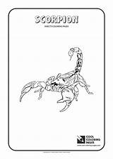 Scorpion Coloring Pages Cool Animals Print Kids Ladybug sketch template