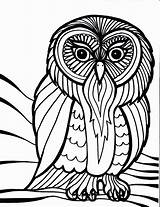 Owl Coloring Pages Color Owls Outline Bird Adults Cool Printable Drawing Cartoon Cute Kids Adult Clipart Snowy Books Birds Print sketch template