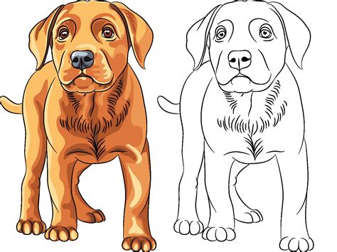 dibujos de perros  imprimir  colorear perros perros dibujos