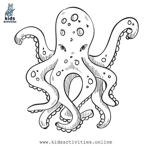 printable sea animals coloring pages  kids kids activities