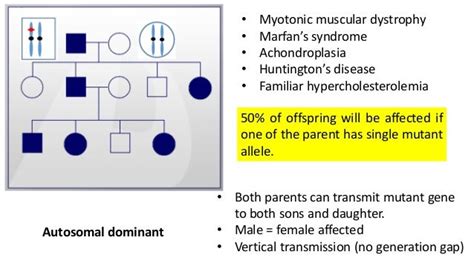 Modes Of Autosomal And Sex Linked Inheritance