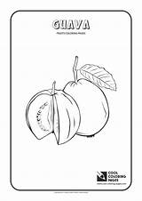 Guava Coloring Pages Cool Print Kids sketch template