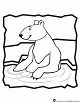 Polar Bear Coloring Kids Pages sketch template