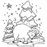 Polar Bear Coloring Pages Christmas Getdrawings Cub sketch template