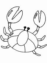 Crab Coloring Color Pages Animals Animal Printable Print Back sketch template