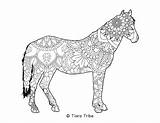 Mandala Coloring Animal Horse Pages sketch template
