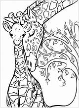 Giraffe Coloring Baby Giraffes Pages Color Mother Mandala Adult Mom Animal Drawing Printable Two Adults Tree Background These His Animals sketch template