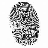 Fingerprint Thumb Freepngimg sketch template