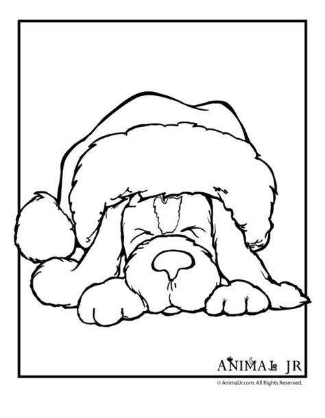 black  white drawing   dog wearing  santa hat