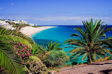 iles canaries les   belles plages de fuerteventura